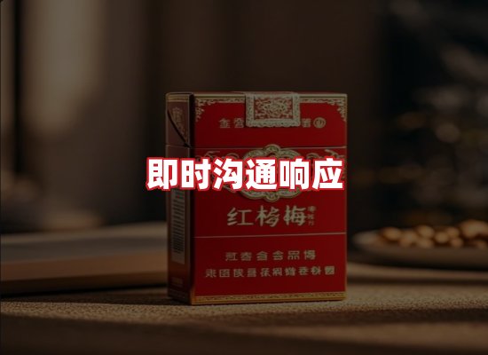 专业团队
